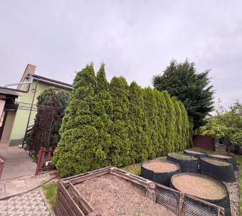 🌳 Orez stromov, výrub stromov, kosenie, odvoz dreva 🌿 - 10