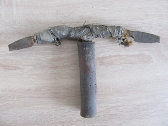 Predám starý cca 95 ročný " pahovník" - 10