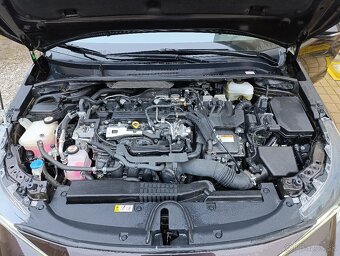 Toyota Corolla TS Trek - 10