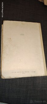 Dobrodružstvá Huckleberryho Finna - 10