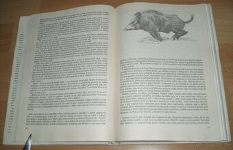 Loveckou stezkou - 10
