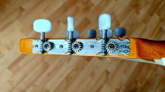 Elektroakusticka gitara Valencia CG190CE - 10