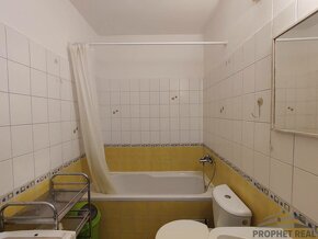 Ideálny 1 izbový byt v Petržalke s výhľadom na jazero Draždi - 10