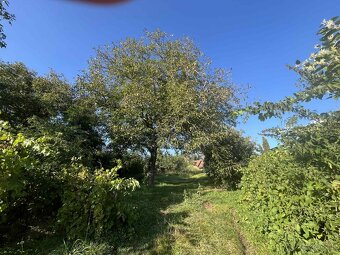 Na predaj rodinný domček s 13 árovým pozemkom - 10