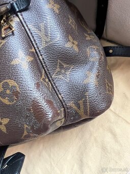 Louis Vuitton Palm Springs MM - 10