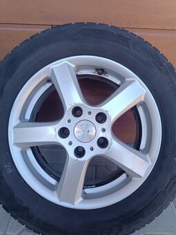 Elektrony R15 + Zimné pneu 195/65R15  Octavia2 - 10