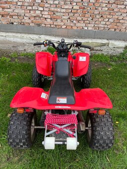 Honda TRX 400 - 10