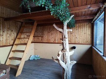 Predaj domu v obci Valaská. - 10