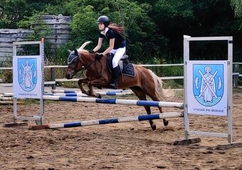 Predám pony kobylku - 10