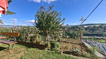 Na predaj chata so záhradou v Bánovciach nad Bebravou - 10