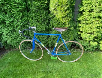 Bicykel Favorit - 10