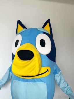 Maskot/kostým pes Bluey - 10