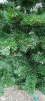 VIANOČNÝ STROMČEK - 10