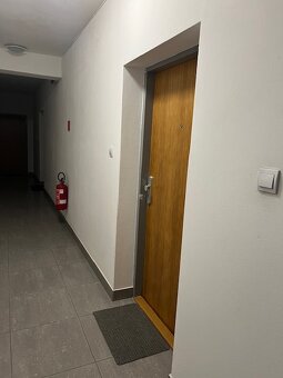 1 izb. byt s balkónom, NA PIESKU - 10