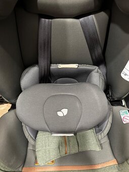 Joie i-Spin™ XL pine - 10