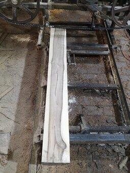 Kmeňova pásová pila - 10