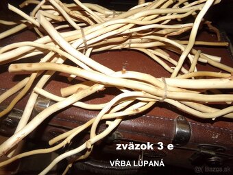 SUŠENÉ KVETY č. 1 - rôzne druhy na ďalšiu tvorbu - 10