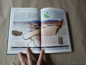 Príroda v kocke: Dinosaury a predhistorický život - 10