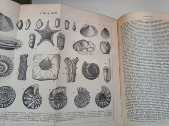 Ottúv slovník náučný 1888-1909, 28 zväzkov - 10