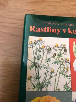 Rastliny v kozmetike - 10