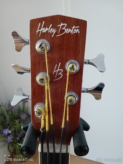 HB Akustik Bass 5 String - 10