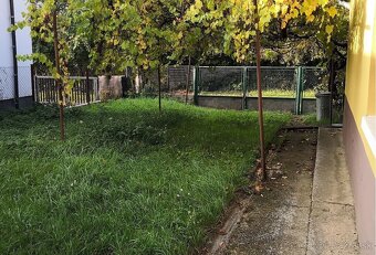 Na predaj vidiecky dom s veľkým pozemkom v Jasovej. - 10