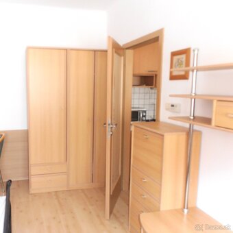 Prenájom 1 izb. byt s kuchyňou, klímou, Staré Mesto, Palisad - 10