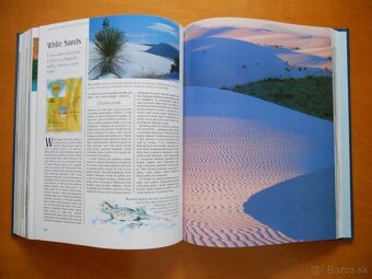 Kniha Čarovný svet - 10