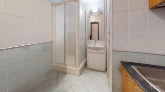NÁDHERNÝ 3 IZBOVÝ BYT, DREVNÝ TRH, STARÉ MESTO, KOŠICE - 10
