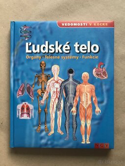 Môj adventný kalendár, Deti ako ja, Deti kapitána Granta - 10