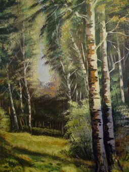 Starožitne obrazy a iné - 10