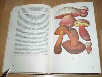 Huby lesov, polí a lúk - 10