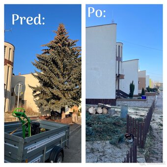 Výrub stromov a rizikové pílenie - 10