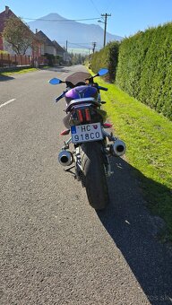 Suzuki SV 1000 - 10