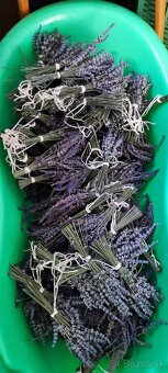 Vianočný balíček starostlivosti pre celú rodinu 🎄❤️ - 10