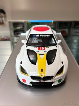 ART CAR John Baldessari BMW M6 GTLM 2016 1:18 - 10