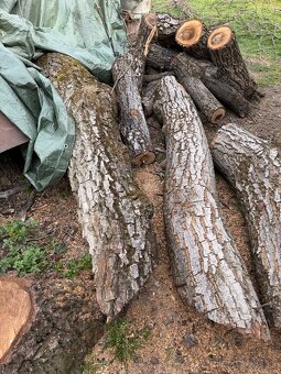 Orechové drevo - 10