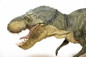 Tyranosaurus Rex - detailna figurka - 10