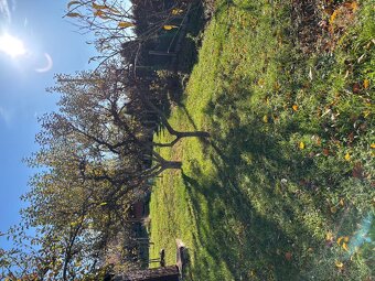 Stavebný pozemok s malou chatkou - 10