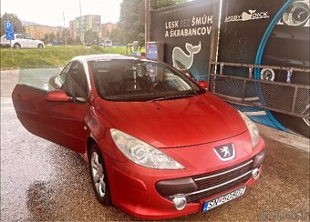 peugeot 307 cc cabrio 16 16 v - 10