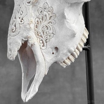 Vyrezávaná lebka barana na kovovom stojane - motív Infinity - 10