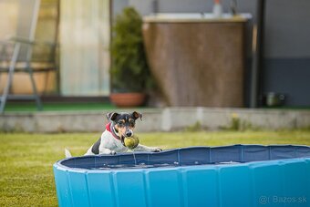 Predám svoje „dieťa“ – psí hotel Pes na dovolenke + dom, 30 - 10