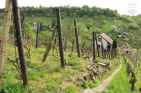 Predaj vinohradníckeho domčeku s vinohradom v Skalici - 10