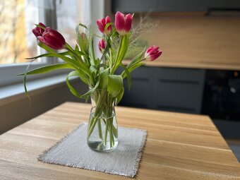 Prenájom 2-izbový byt - 10