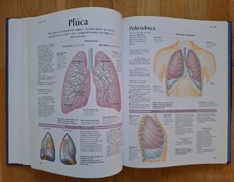 Ludske telo - atlas anatomie cloveka - 10