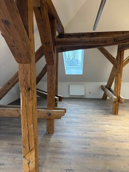 PRENÁJOM- PRIESTORY NITRA VILA NA ČÍNEŠI CENTRUM - 10