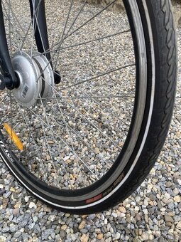 Ebike Devron - 10