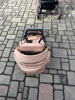 Kočiar coletto dante - 10