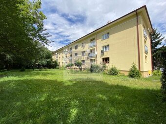 NA PRENÁJOM 2 IZBOVÝ BYT S BALKÓNOM, NITRA PRI OC MLYNY - 10