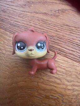 Littla pet shop - 10